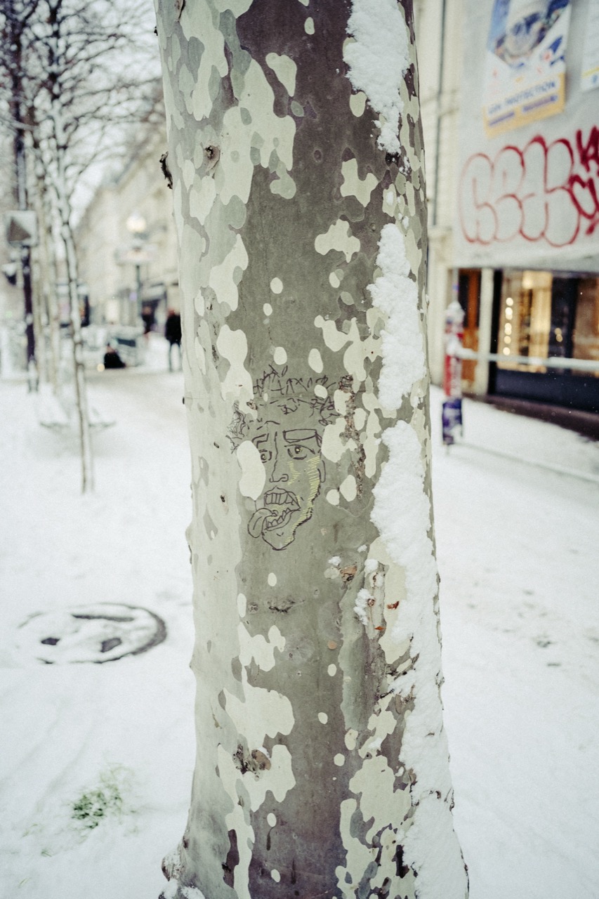 Face drawn on a platane tree trunk